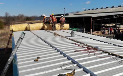 What Should You Know Before Replacing Your Roof?